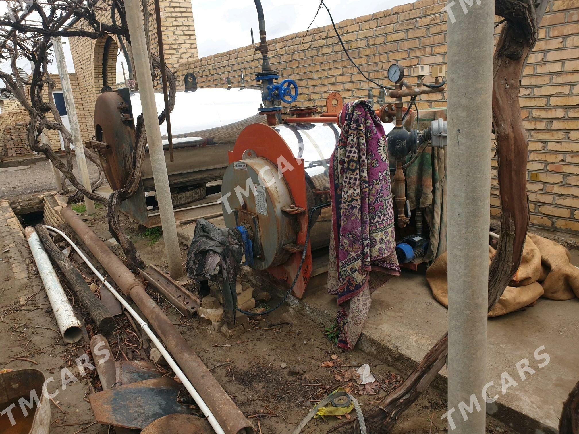 BU GAZAN - Mary - img 4