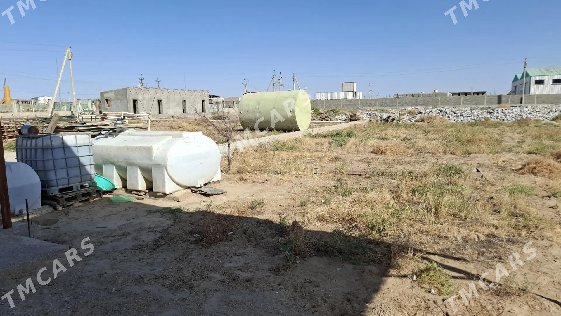 Satlyk baza onumcilik ammar - Aşgabat - img 3