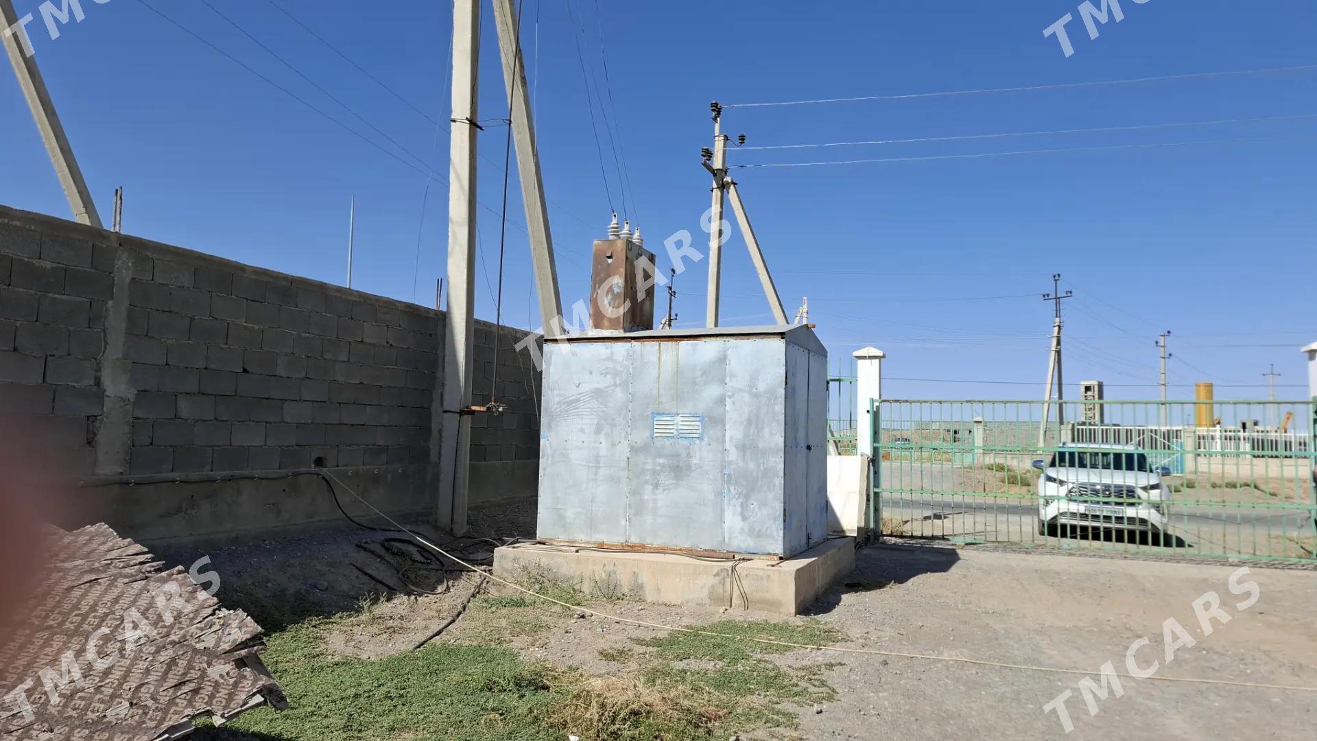 Satlyk baza onumcilik ammar - Aşgabat - img 2