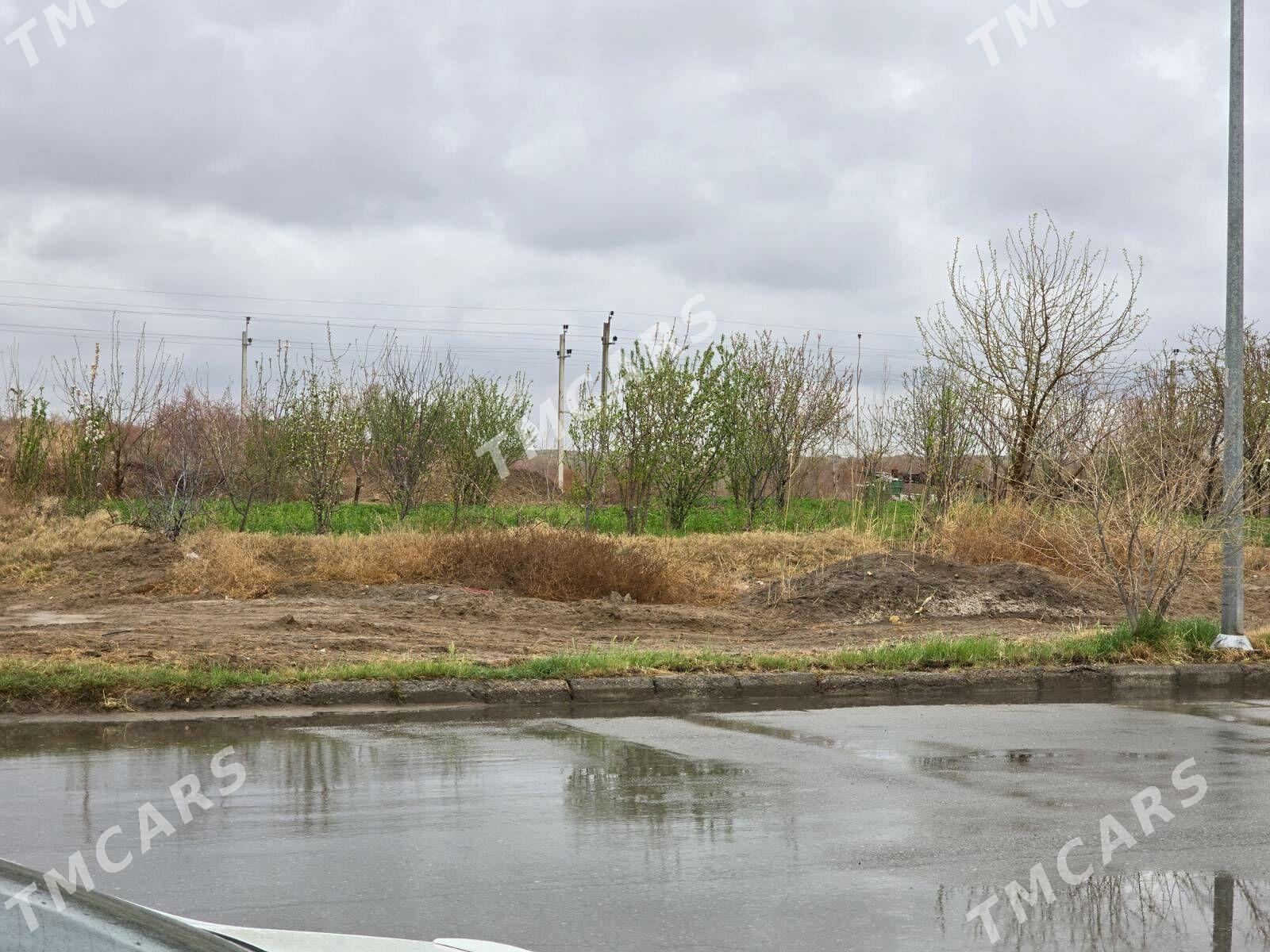 Täze Zaman Kottej 12sotka 5kom - Aşgabat - img 4