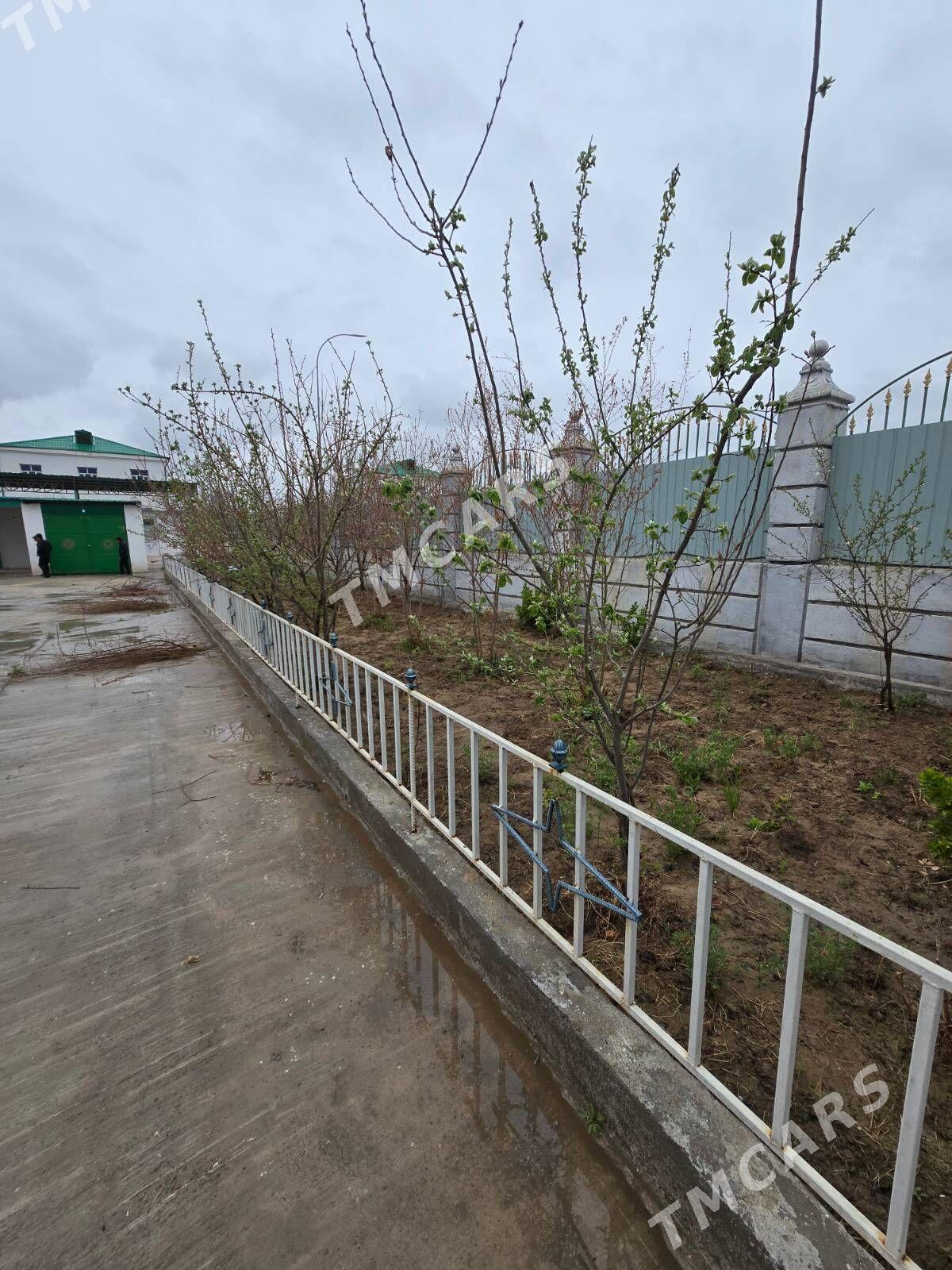 Täze Zaman Kottej 12sotka 5kom - Aşgabat - img 3