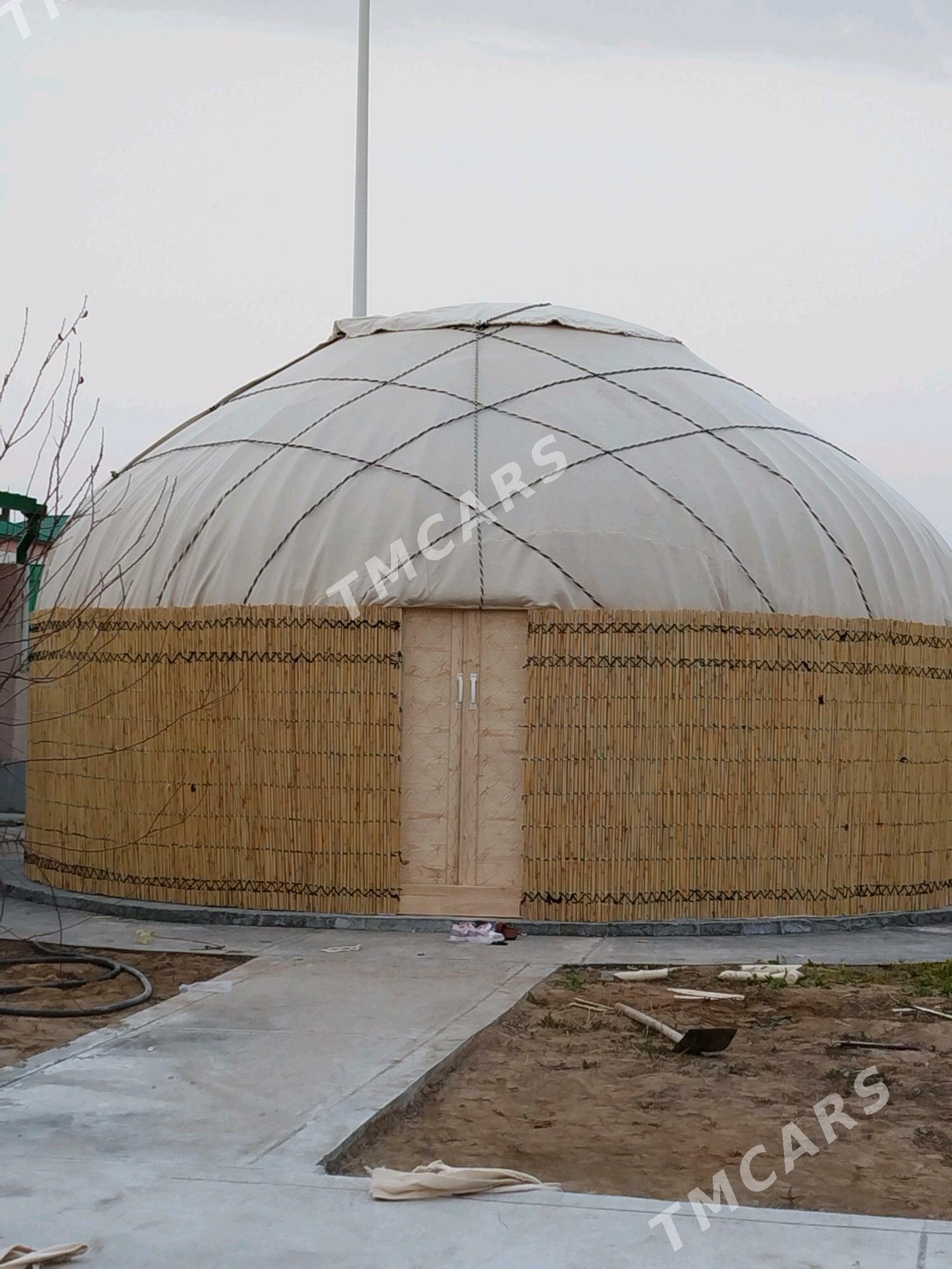 Гамыш gamys Ак.гара ak gara oy - "Altyn Asyr" Gündogar bazary (Jygyllyk) - img 5