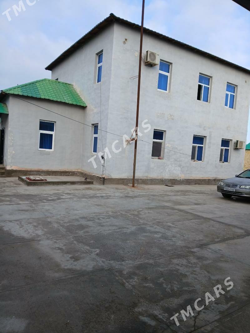 Elitga - етр. Туркменбаши - img 3