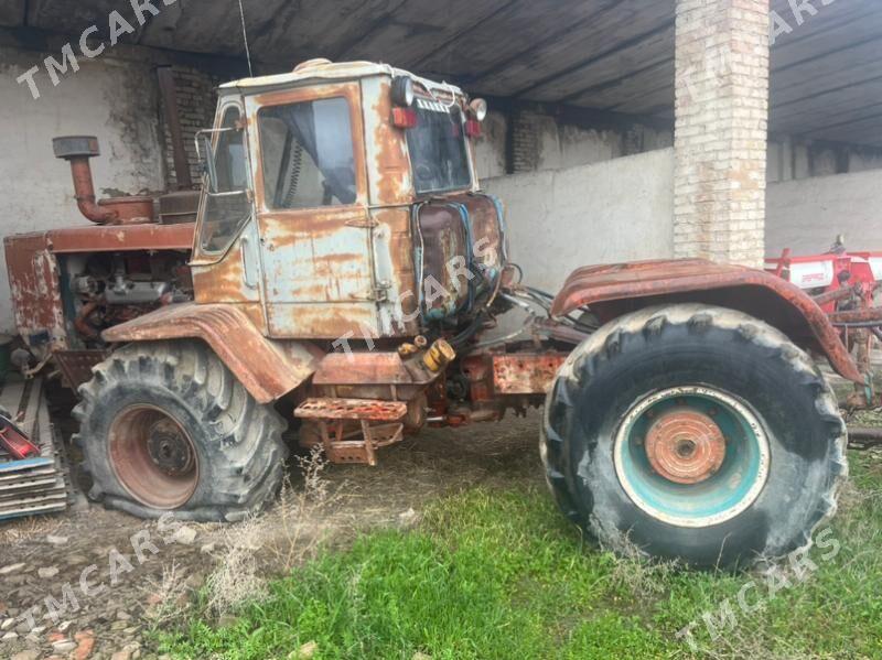 MTZ 80 1980 - 30 000 TMT - Kaka - img 3