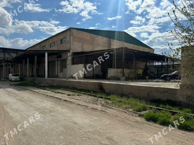 завод 3000метр кв - Туркменабат - img 3