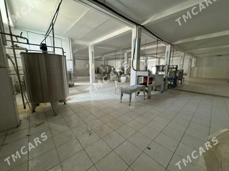 завод 3000метр кв - Туркменабат - img 9