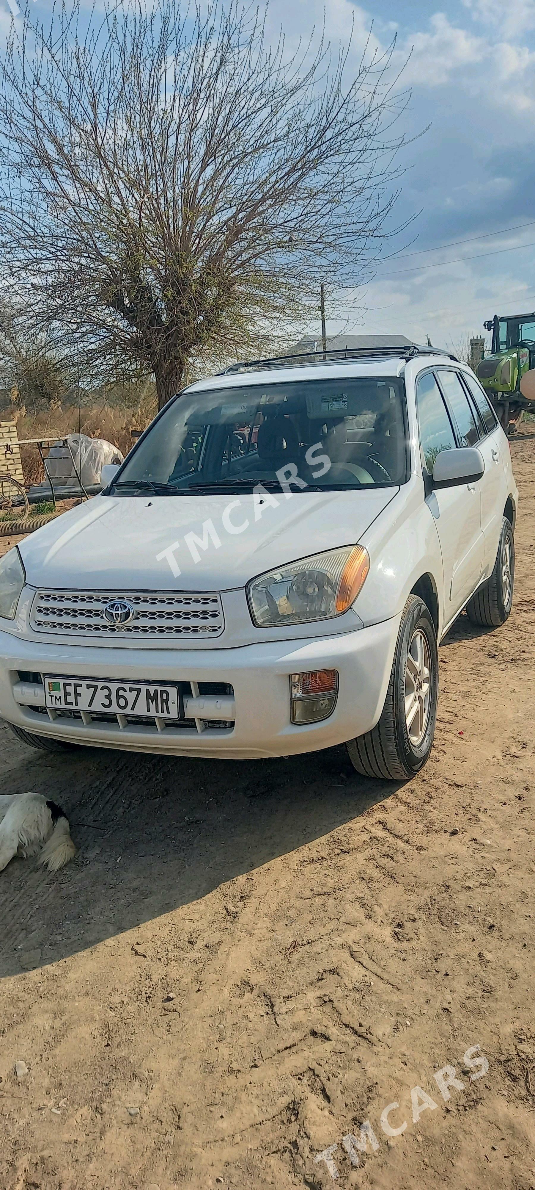 Toyota RAV4 2001 - 125 000 TMT - Baýramaly - img 4