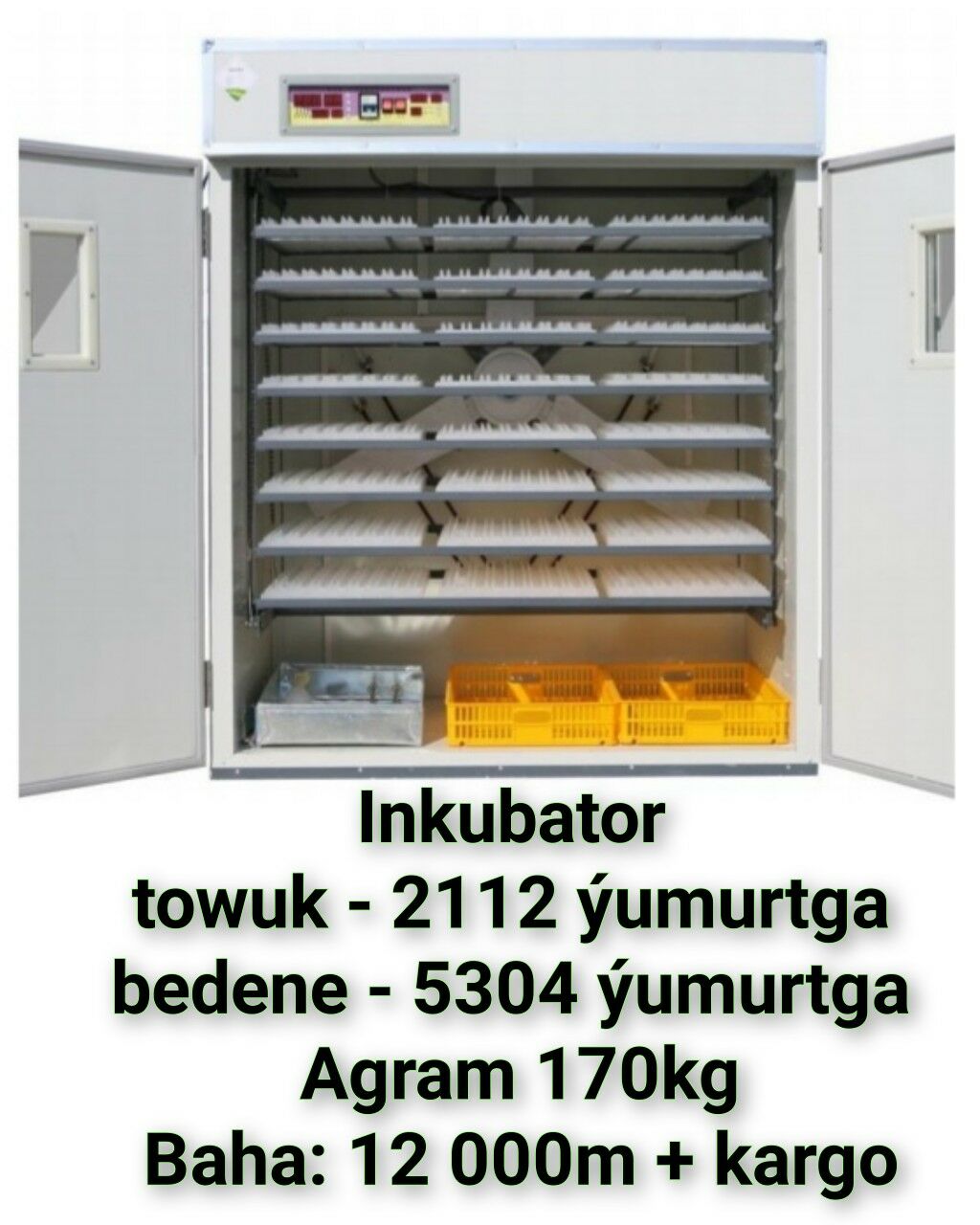 Şaly Tüwi Bürünç Haraz Apparat - Гуртли - img 9