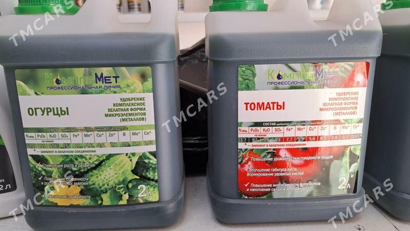 Komplemet dokin - Aşgabat - img 3