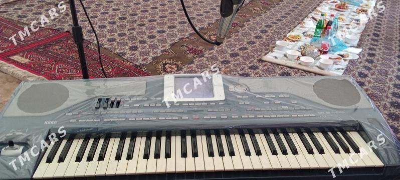 Korg Pa800 - Daşoguz - img 6