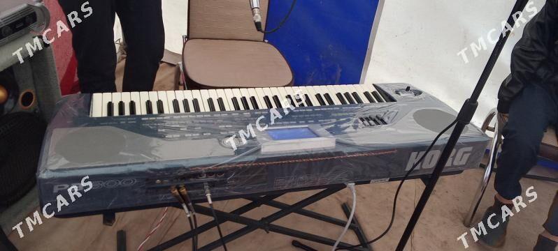 Korg Pa800 - Daşoguz - img 2
