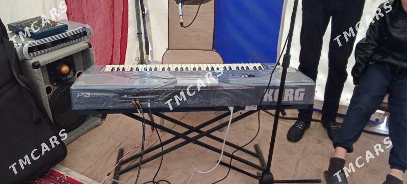 Korg Pa800 - Daşoguz - img 3