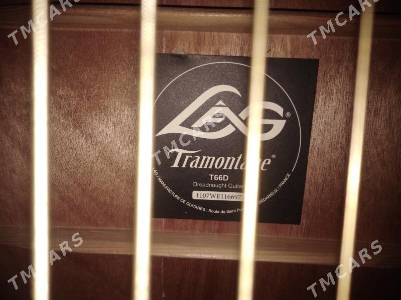Gitara - Балканабат - img 7