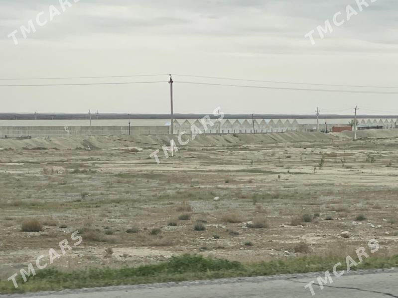 Teplisa - Бахарден - img 2