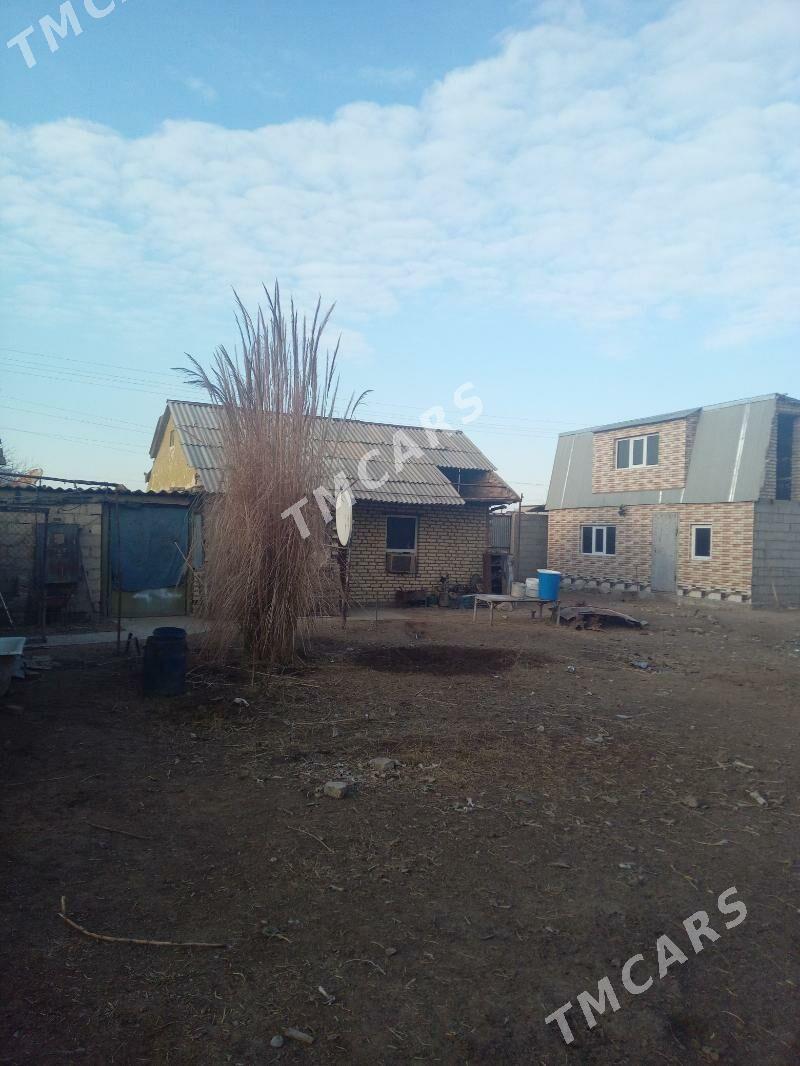 дача грес - Mary - img 5