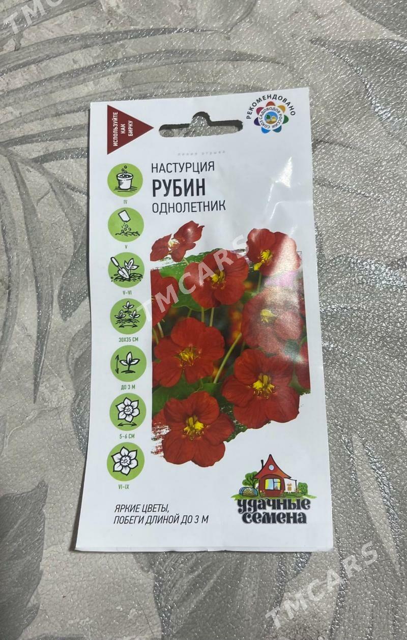 tohum семена - Aşgabat - img 5