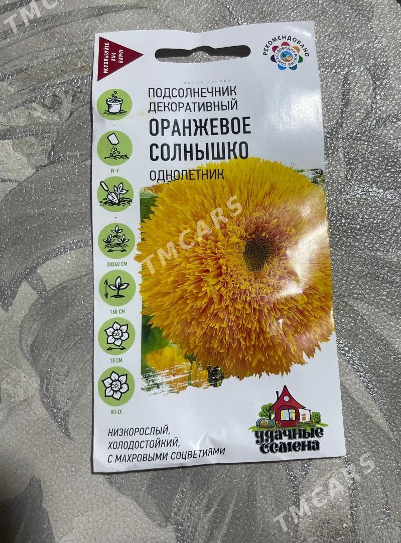 tohum семена - Aşgabat - img 10