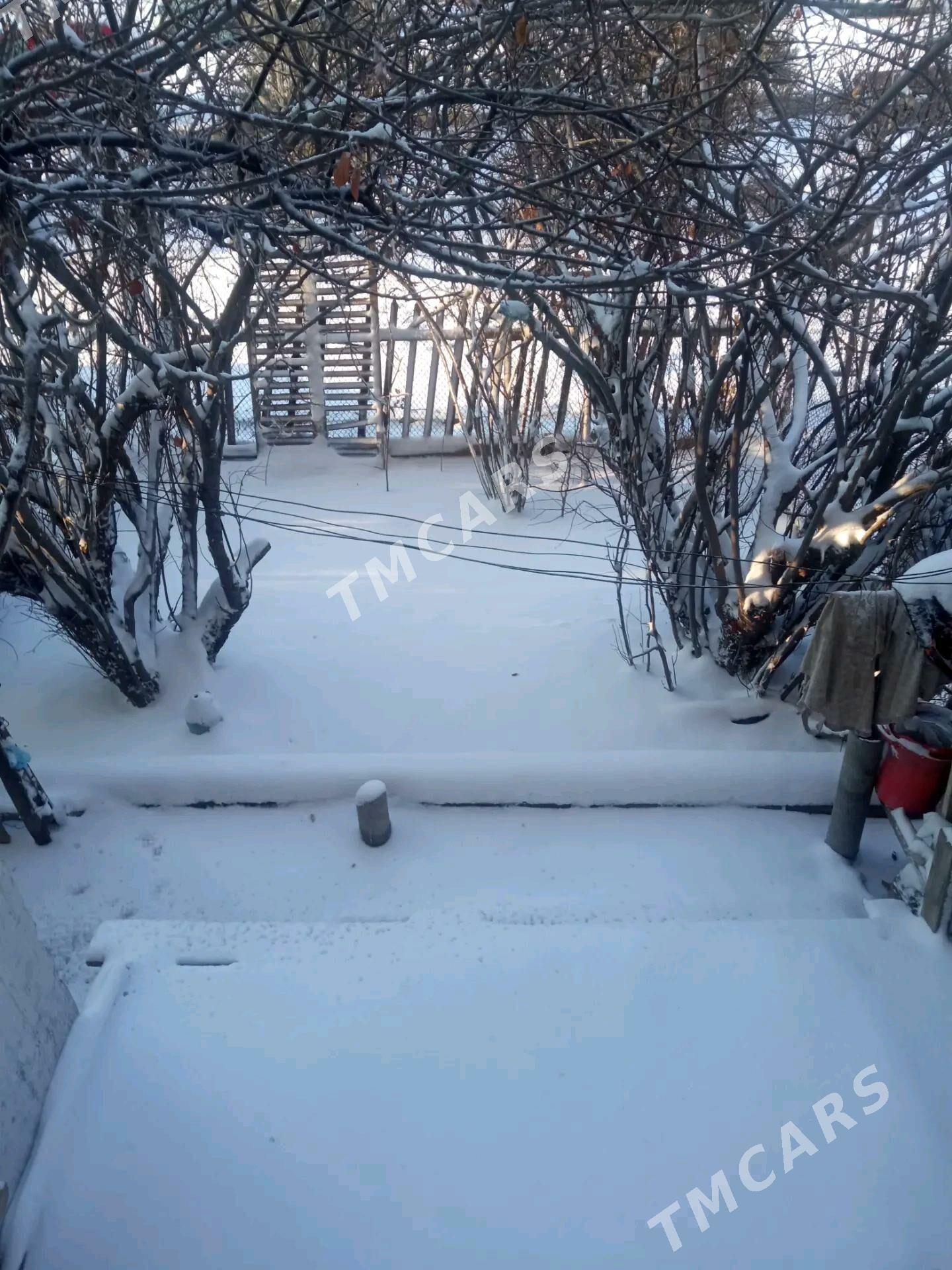 квартира в Дашогуз - Дашогуз - img 7