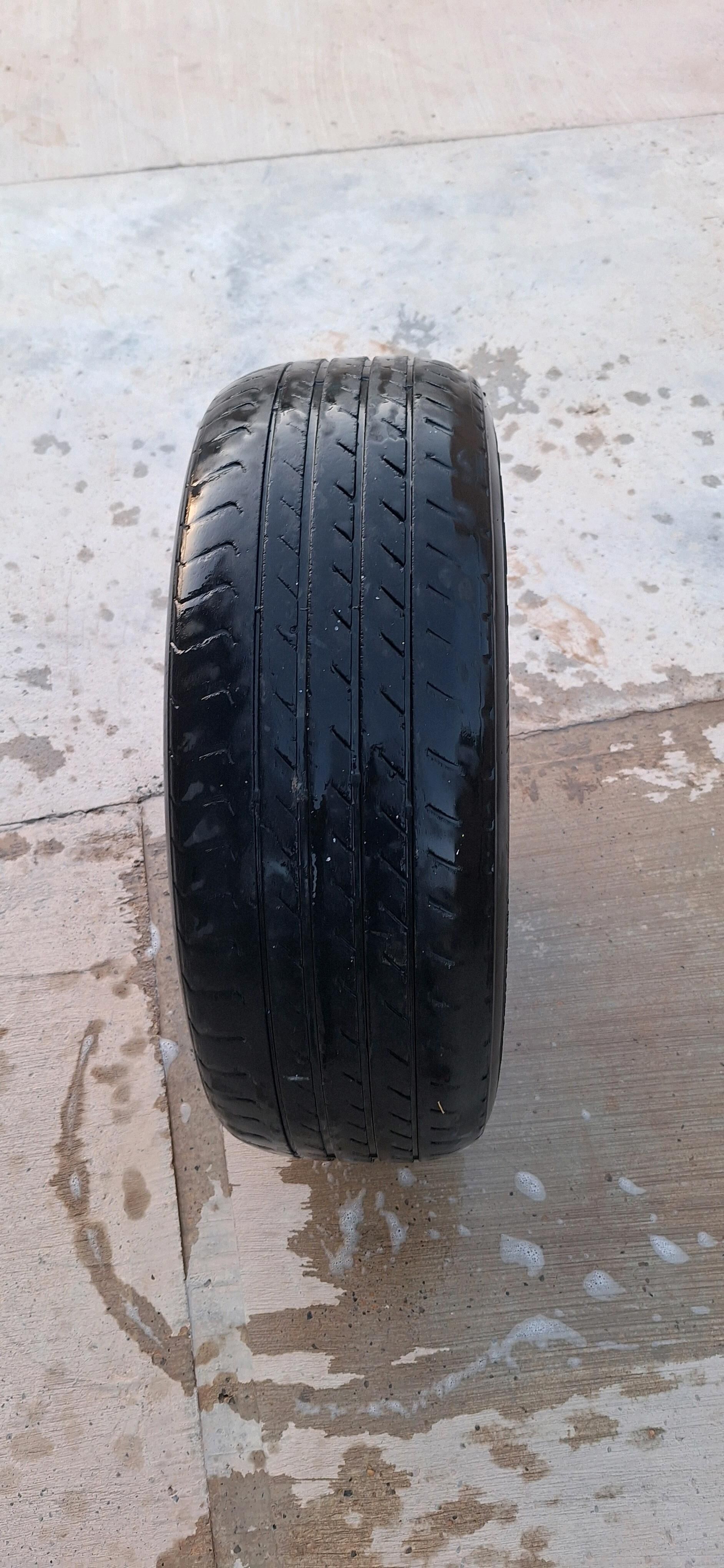 zapaska tigir 650 TMT - Tejen - img 3