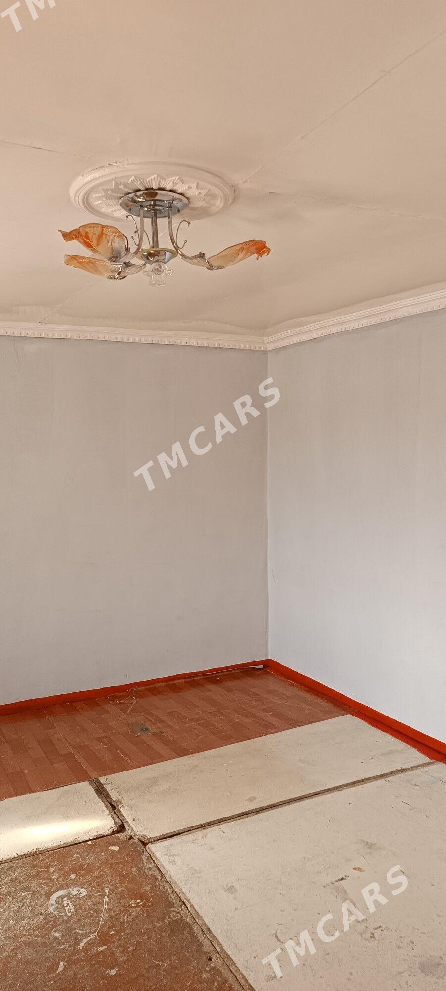 satlyk jaý - Кака - img 2