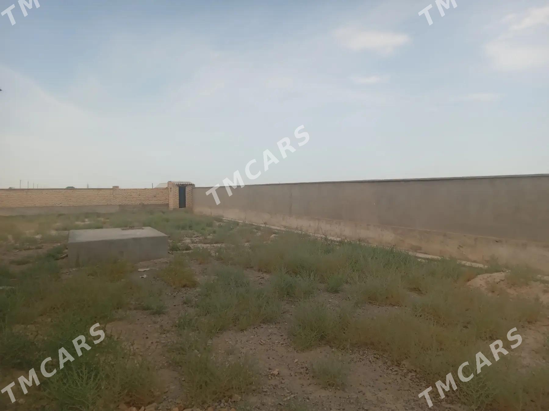 Tayyar yasayys we  biznes yer - Kaka - img 3