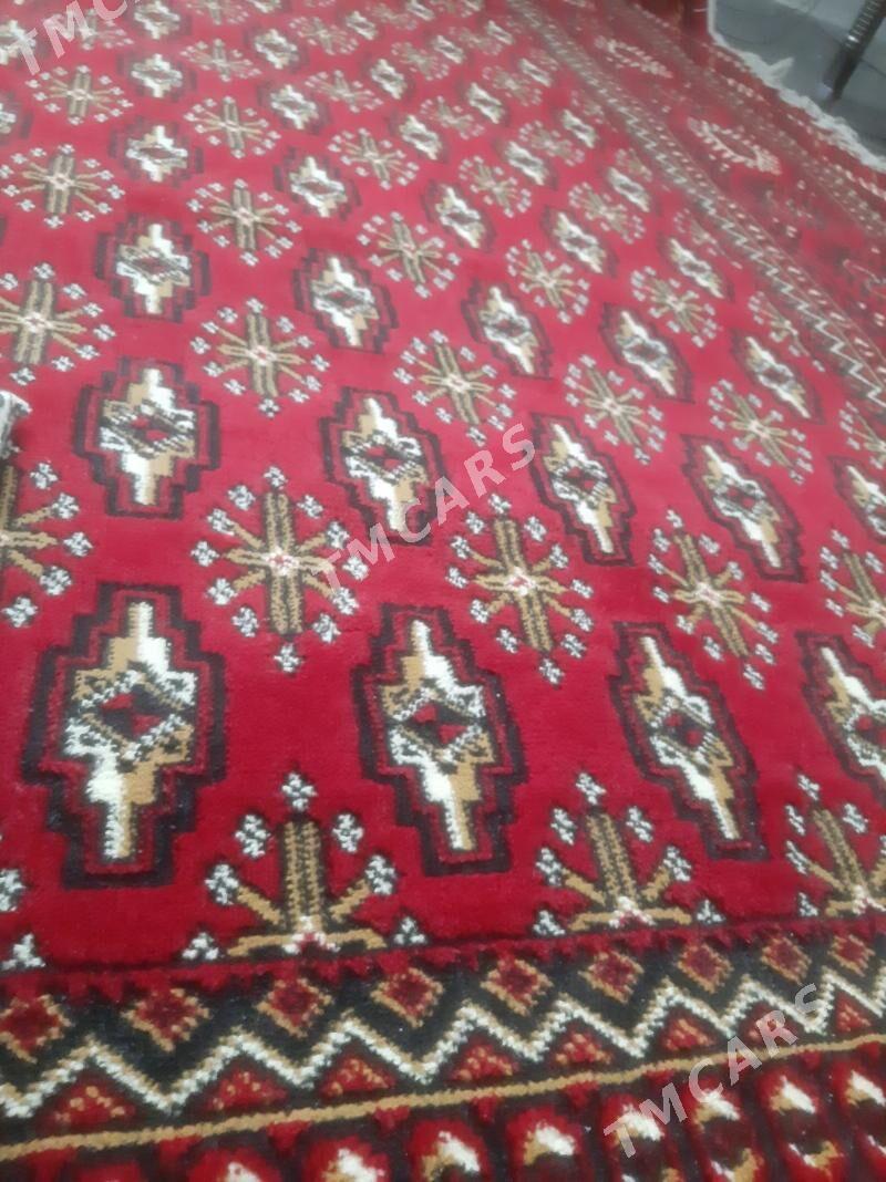 Haly 3×4 metr - Kaka - img 2