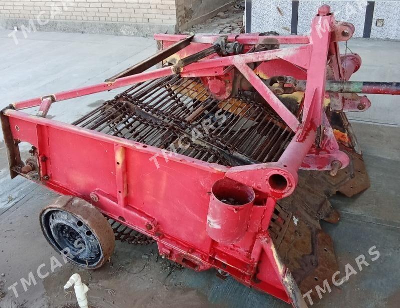 kartoşka köwleýan  (kapatel) - Türkmenabat - img 1