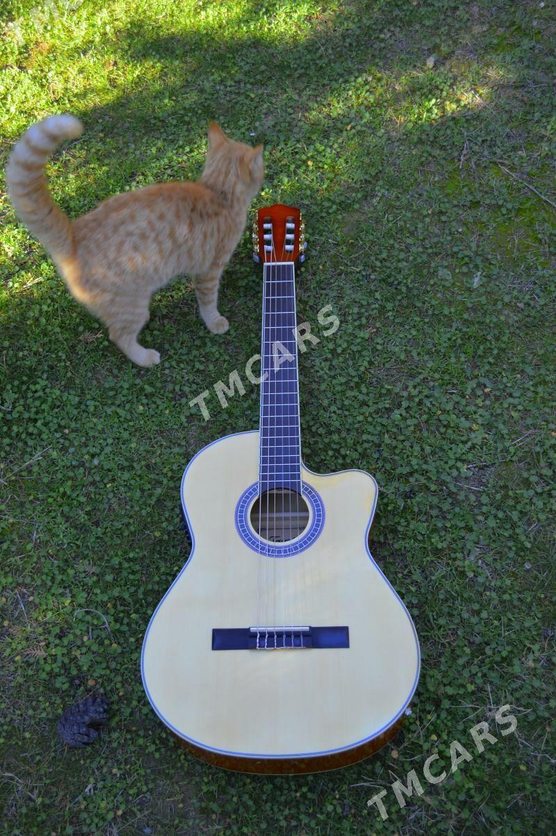 GITARA TAYSTE PAKET ORGINAL - Aşgabat - img 4