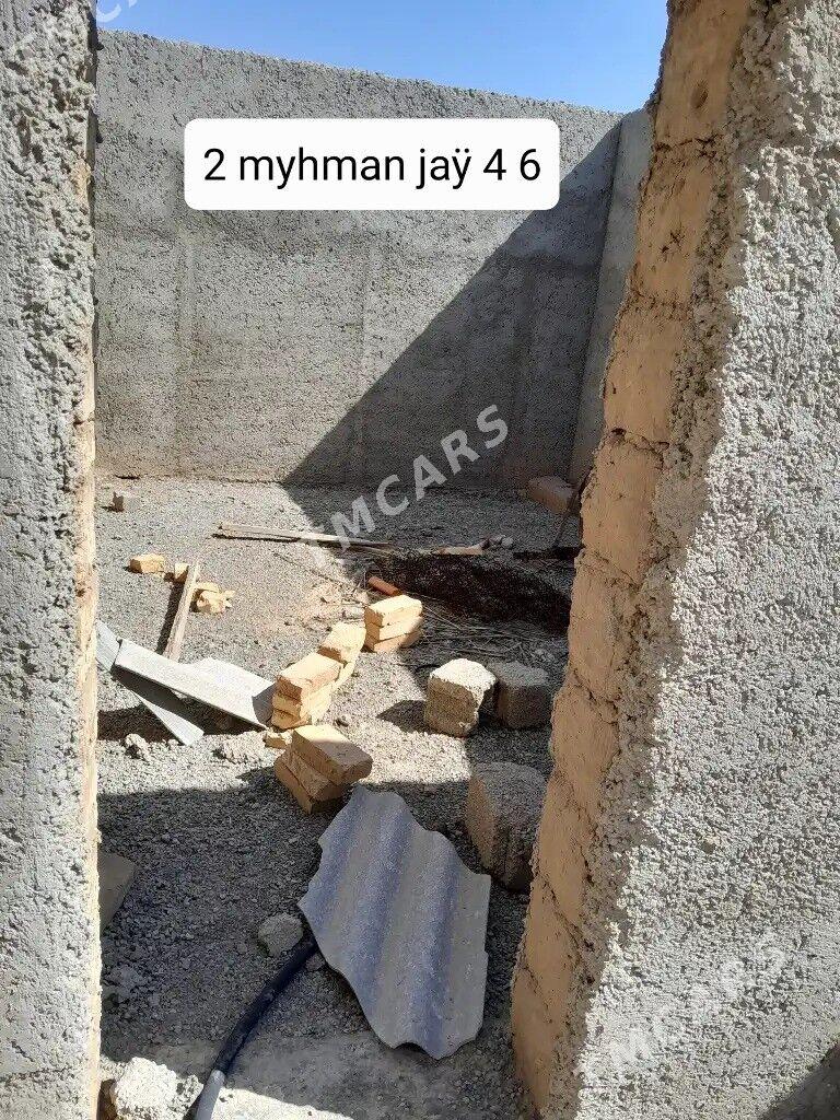 Satlyk jay - Tejen - img 7