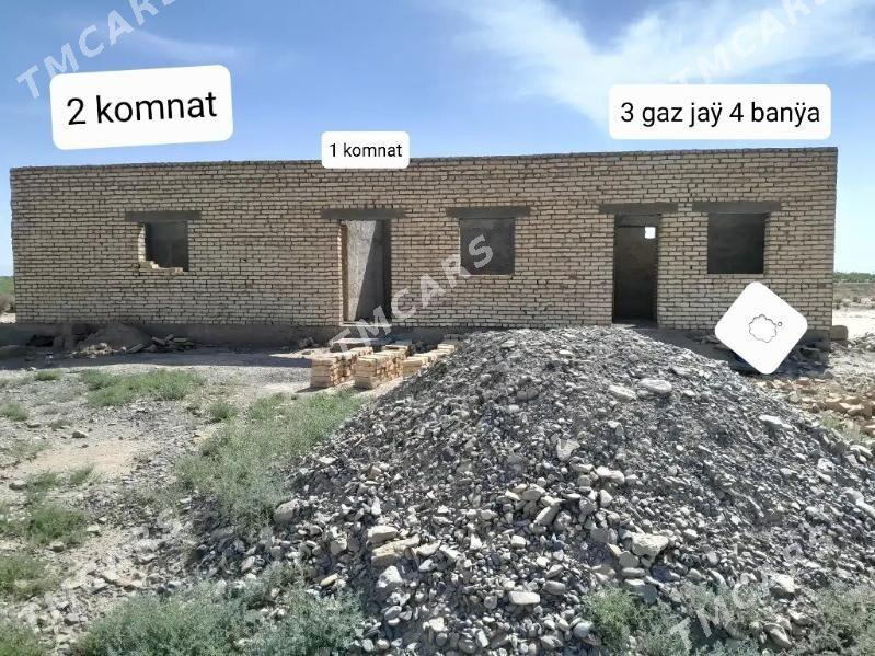 Satlyk jay - Tejen - img 5