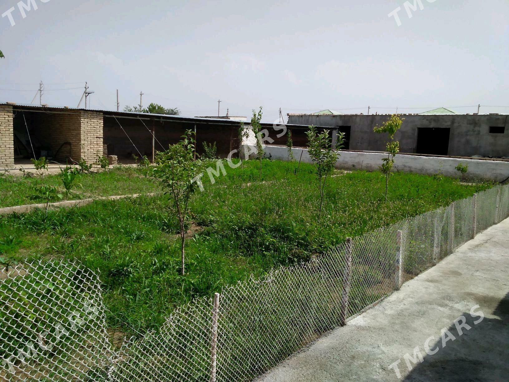 TALHANLY - Aşgabat - img 2
