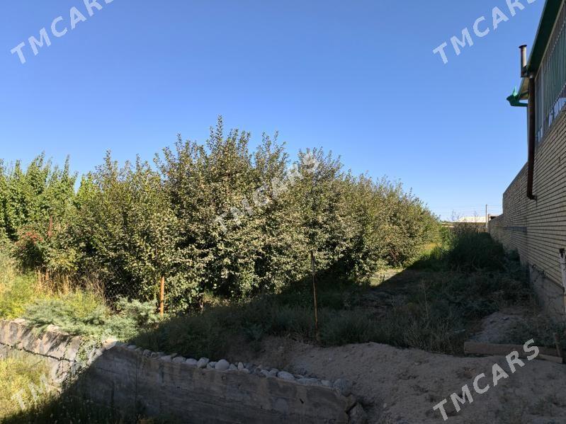 Gozgan Oba Satlyk Jaý - Кака - img 9