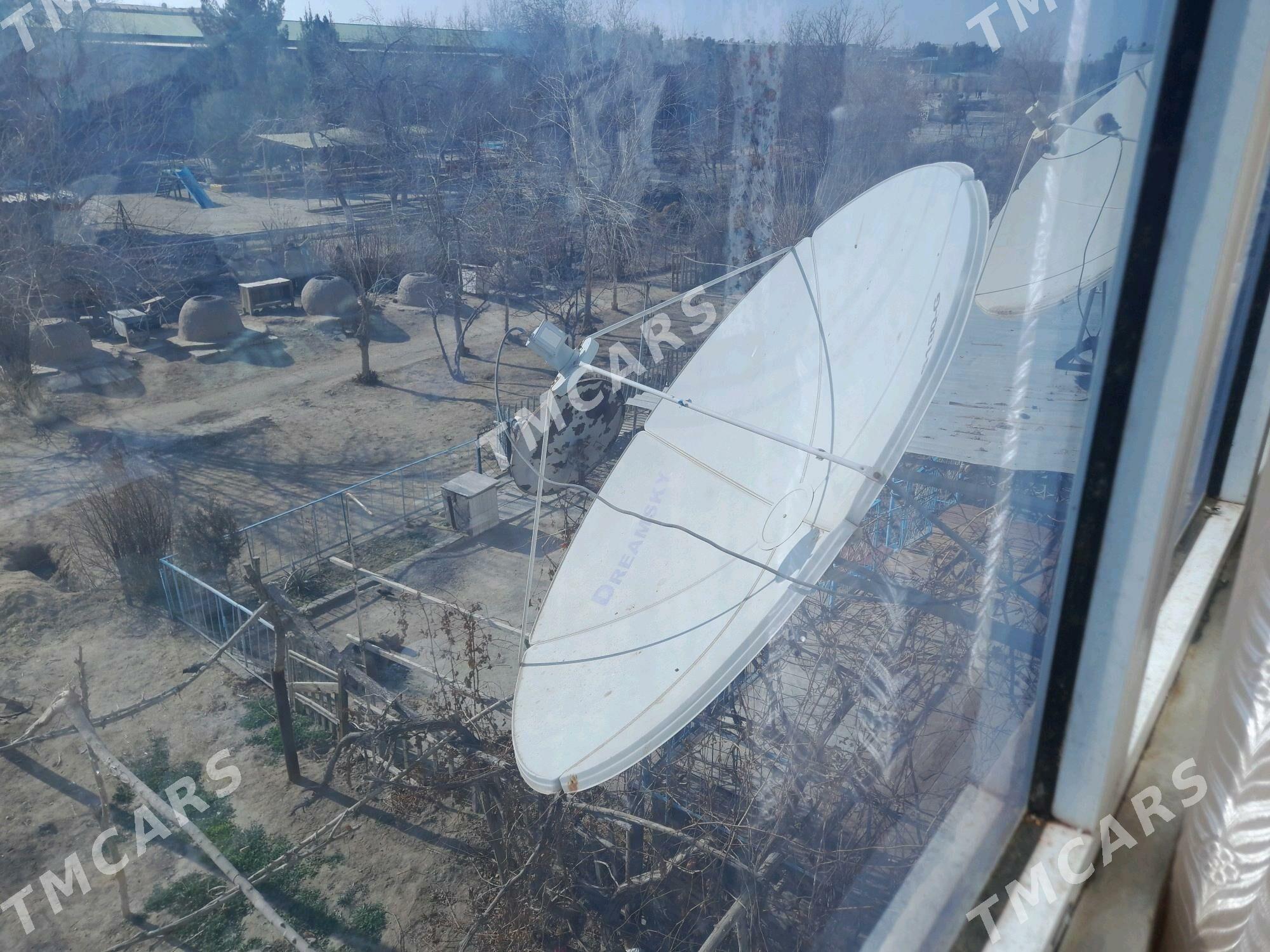 Antenna - Seýdi - img 3