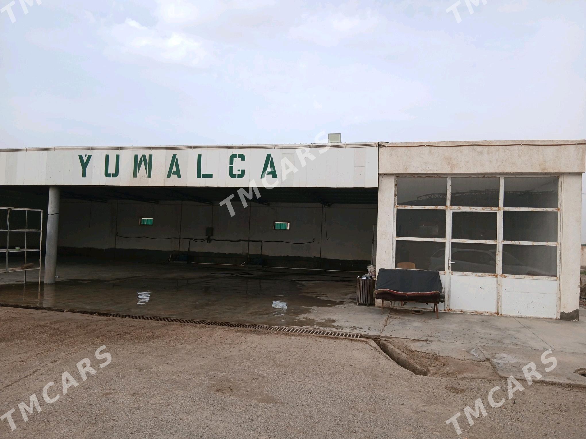 moyka - Tejen - img 3