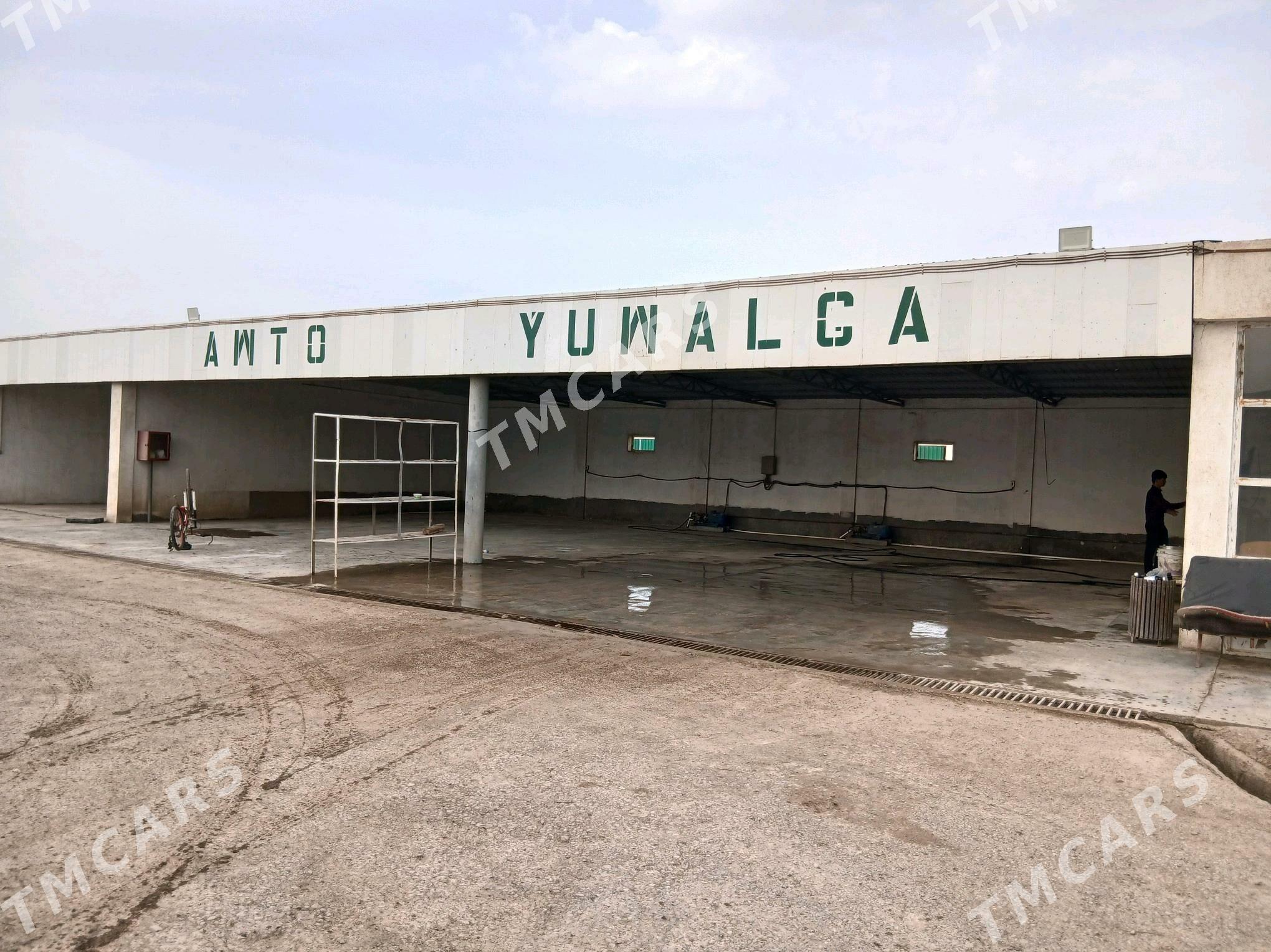 moyka - Tejen - img 1