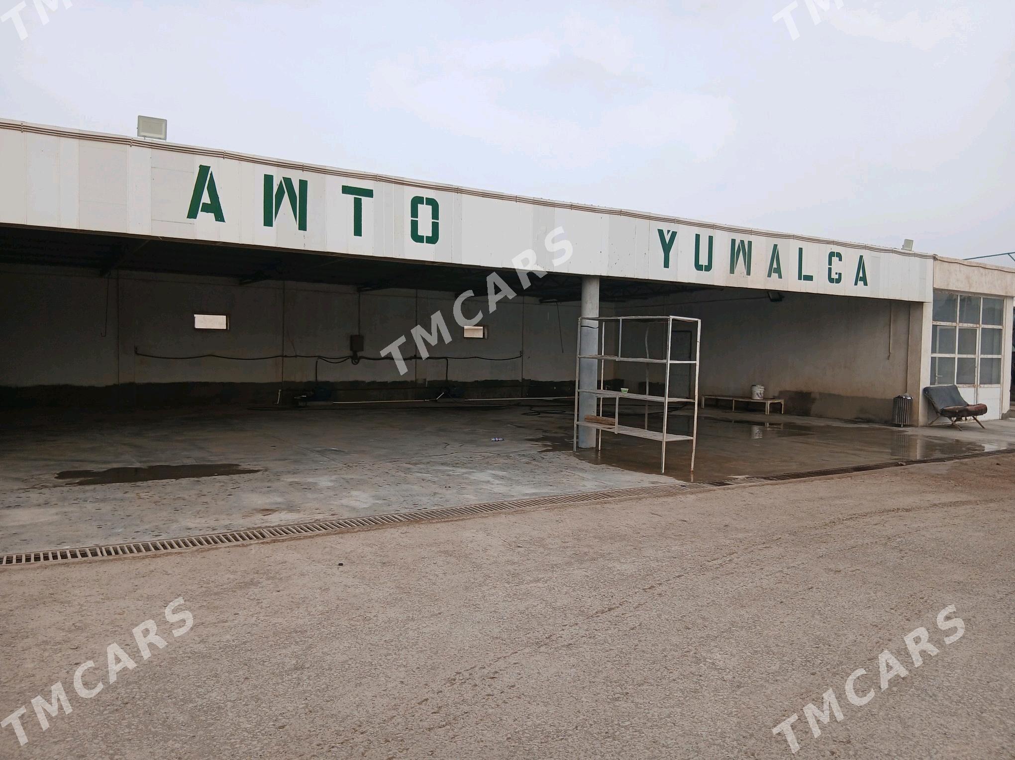 moyka - Tejen - img 2