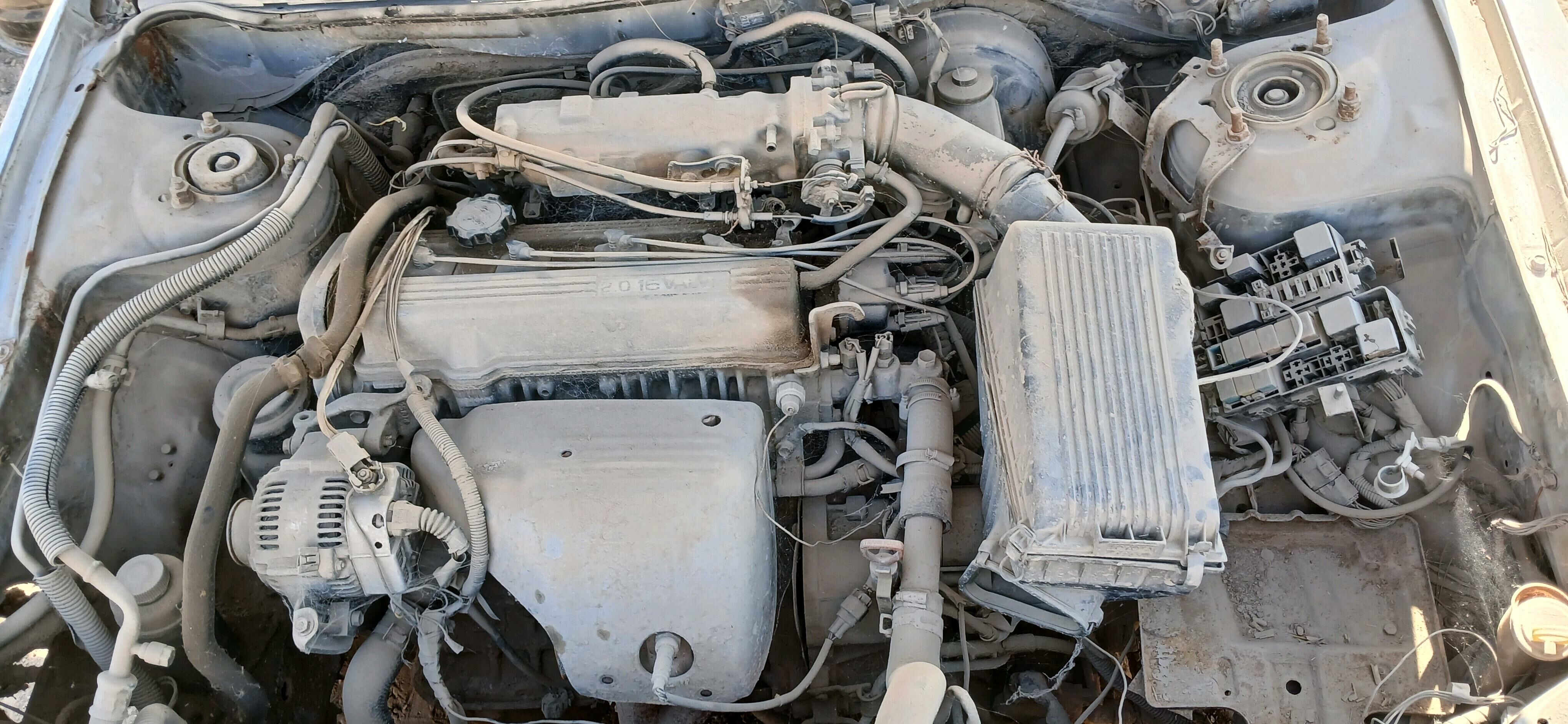 kia 2 000 TMT - Mary - img 1