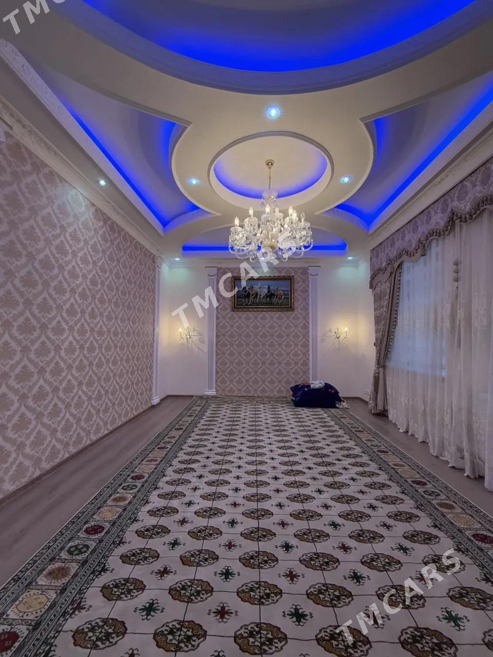 Cyzgy kotej Full - Aşgabat - img 9