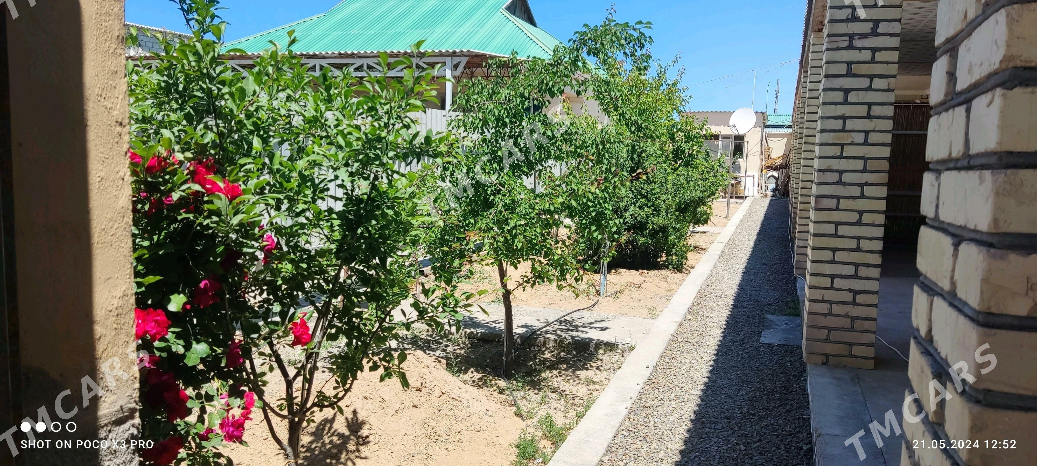 Gulmaýak Daça - Туркменбаши - img 5