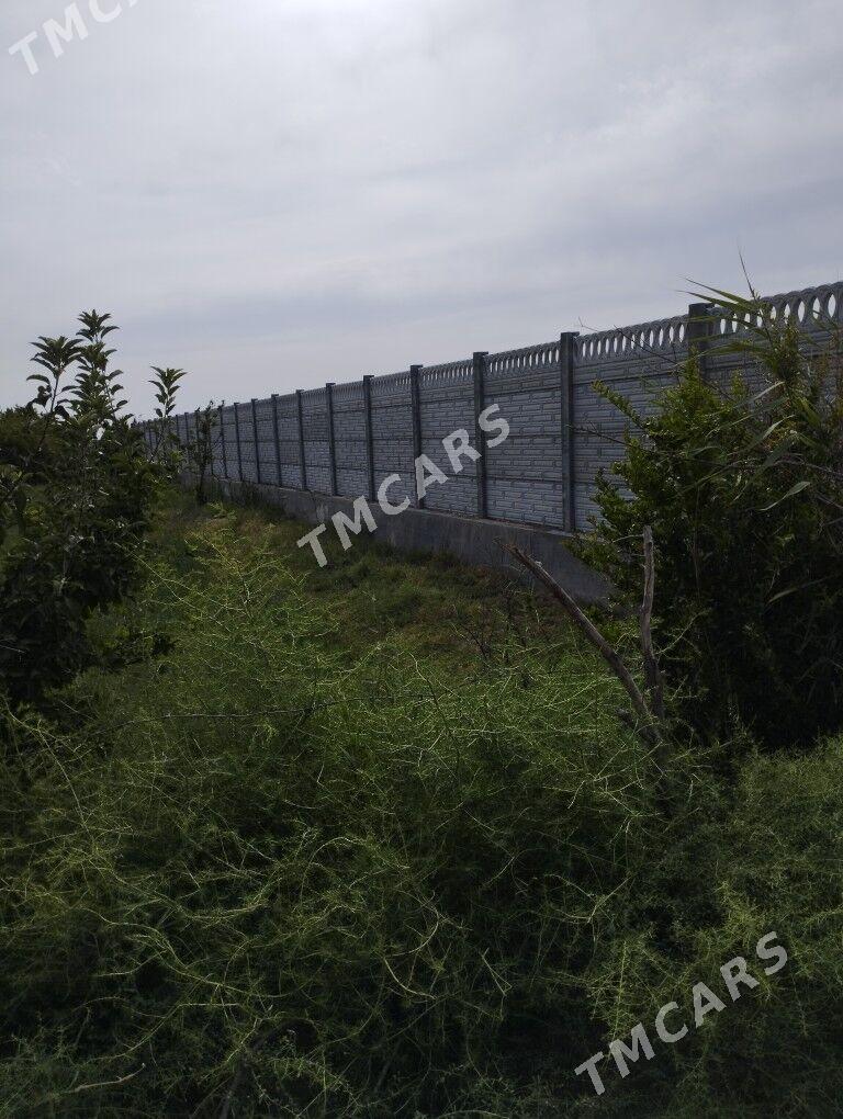 Beton zaborlarar - Mary - img 4