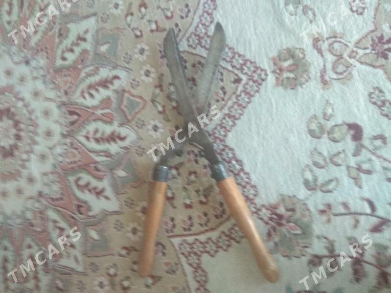 izgirt kesilyan gayçy - Köşi - img 2