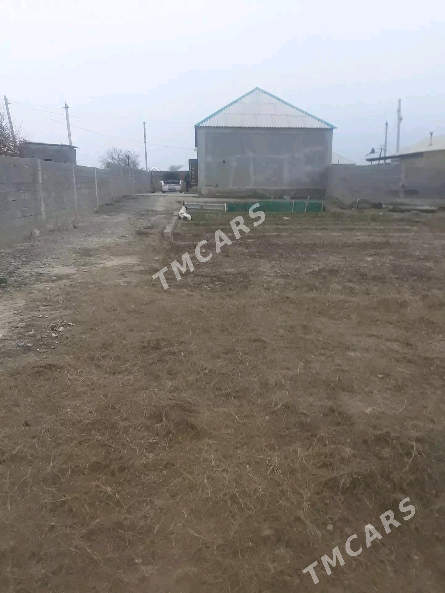 Tayyn Jay Gokdepe Telman - Гёкдепе - img 4