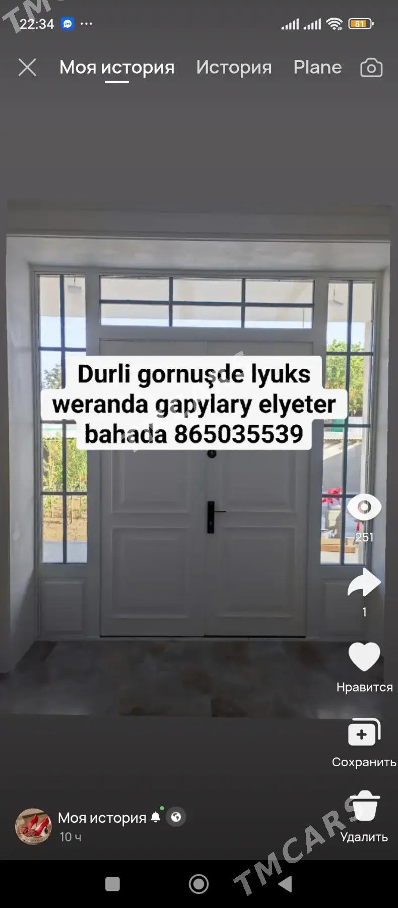 Gapylar we Lesinsa - Gagarin köç, köne Howa menzili - img 9