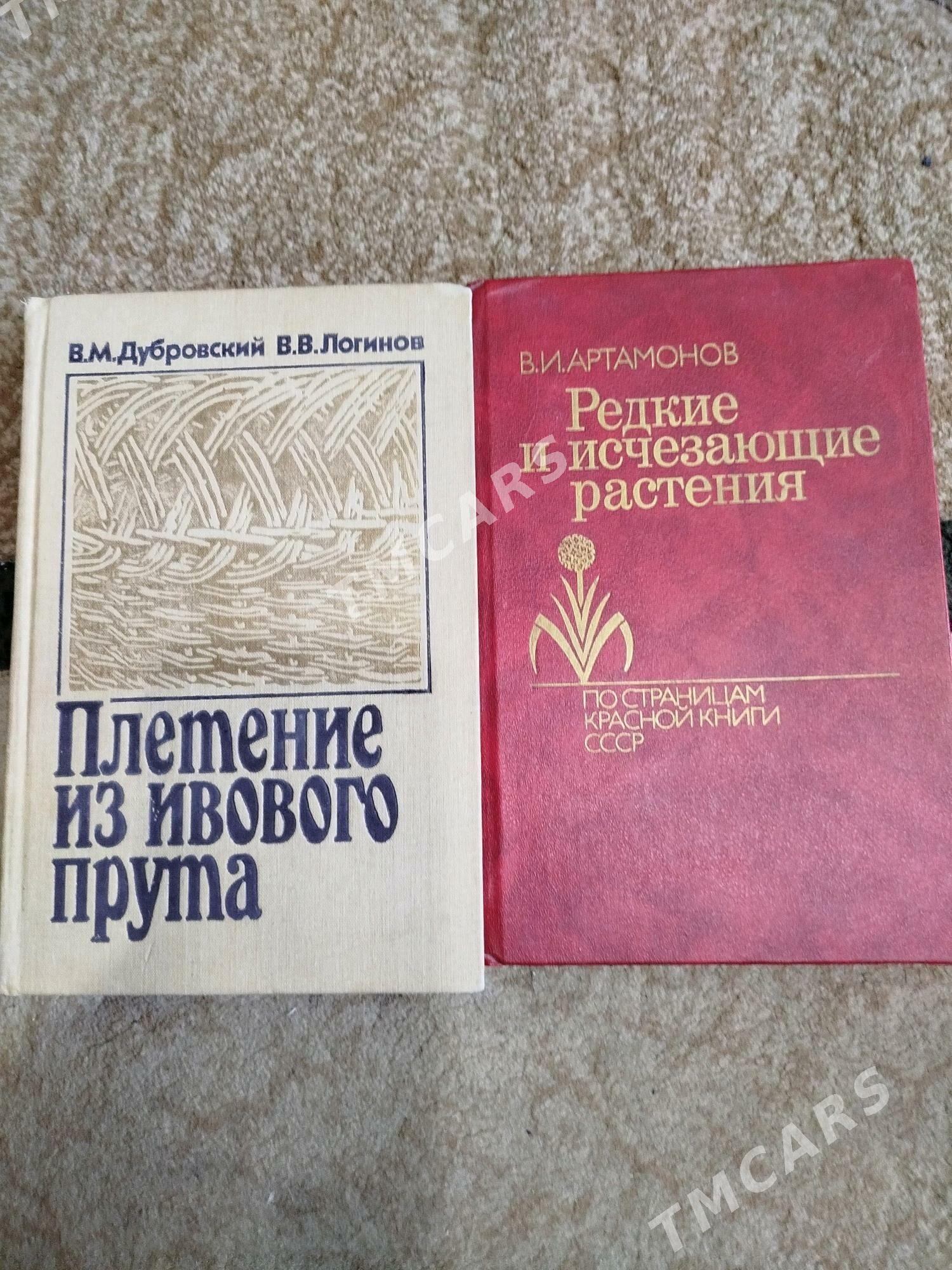 Стендаль. - Туркменабат - img 9