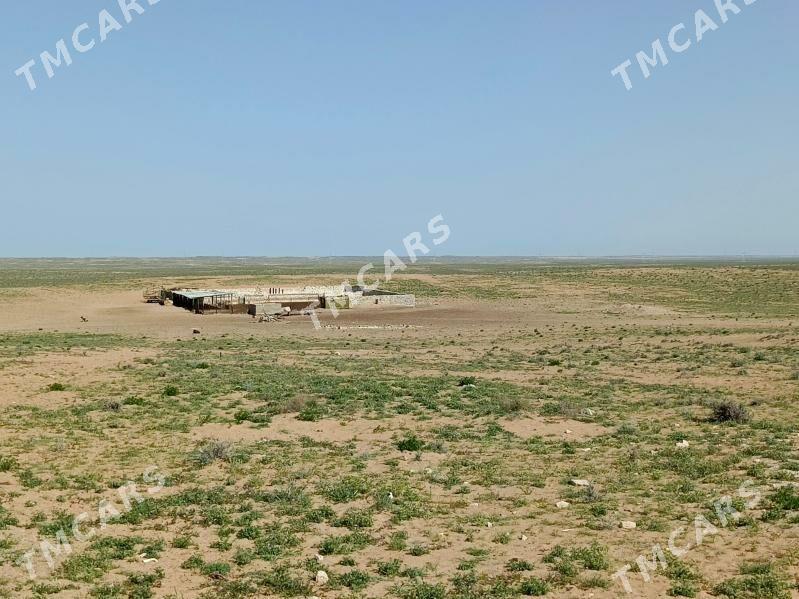Ýatak - Türkmenbaşy - img 4