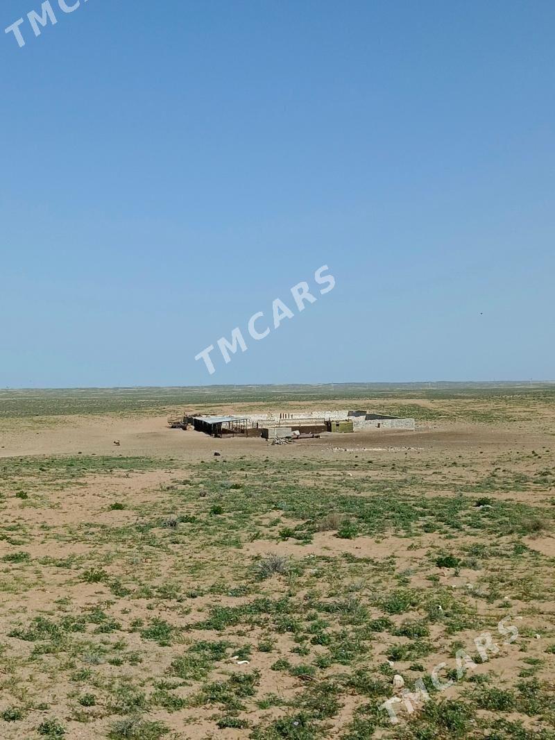 Ýatak - Türkmenbaşy - img 2
