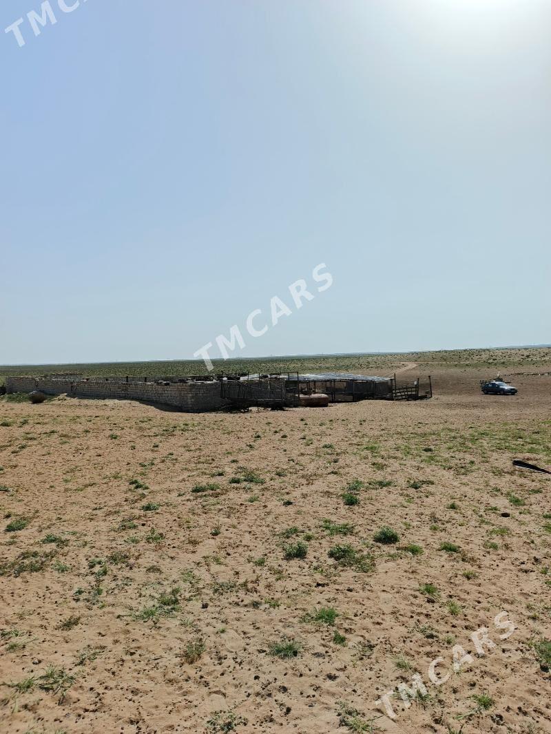 Ýatak - Türkmenbaşy - img 5