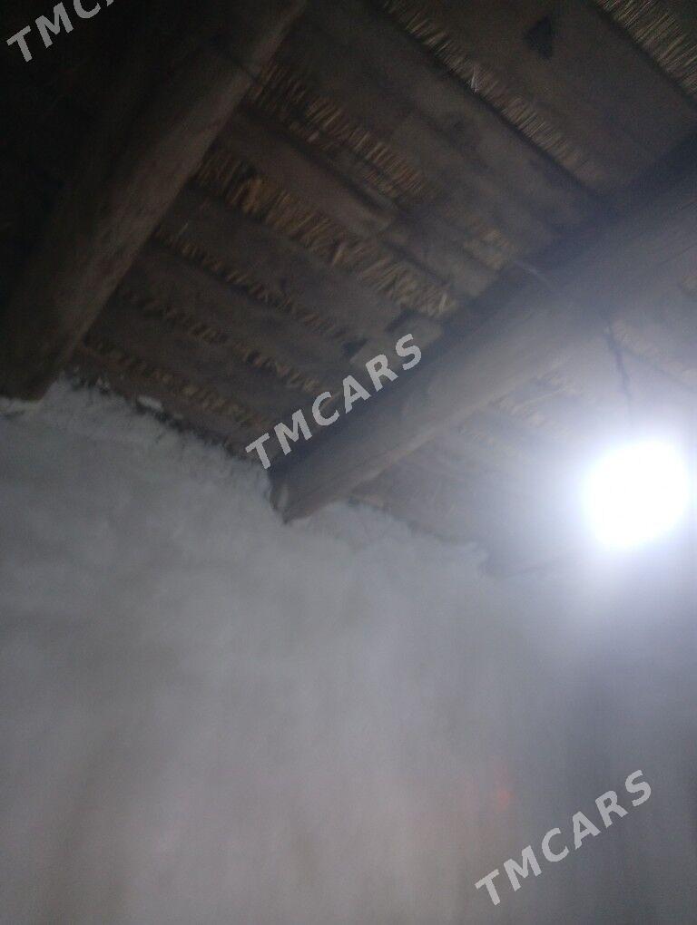 zaton daca - Türkmenabat - img 2