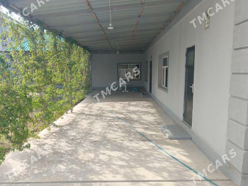 Bagyr mirewe - Багир - img 3