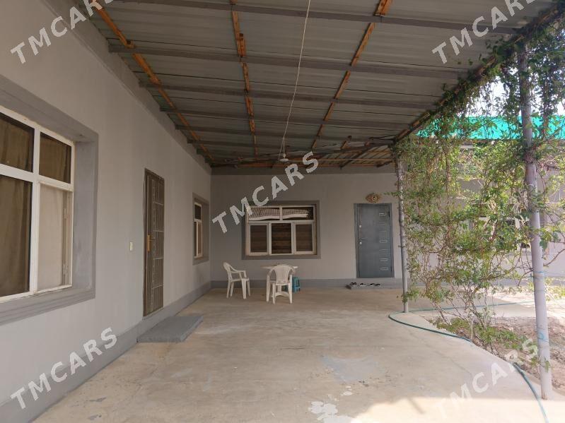 Bagyr mirewe - Багир - img 2